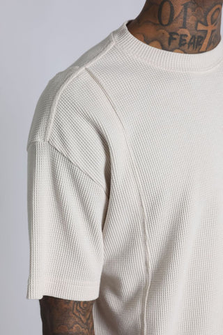 Thermal T - Bone