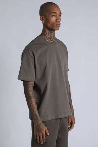 Regular T - Ash